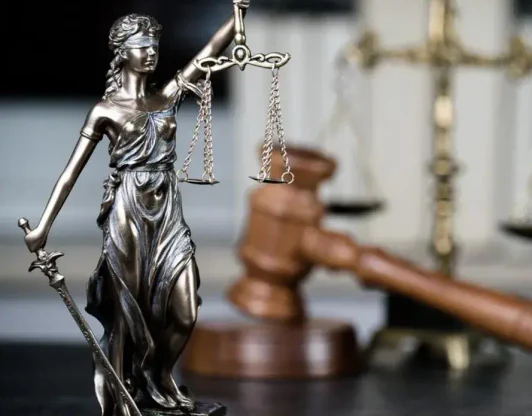 Вопросы публичного права